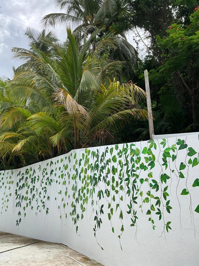 The Serene House Bed & Breakfast Luquillo Luaran gambar
