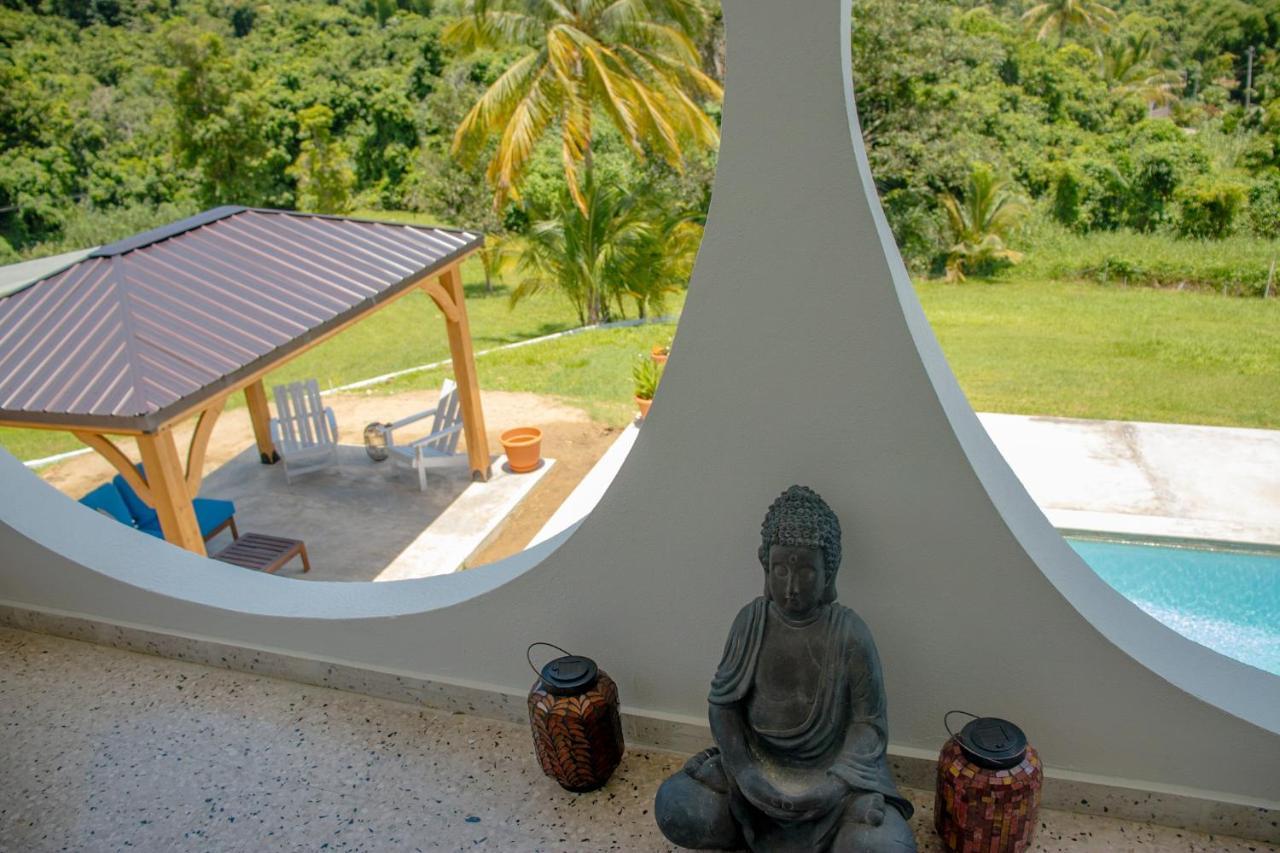 The Serene House Bed & Breakfast Luquillo Luaran gambar