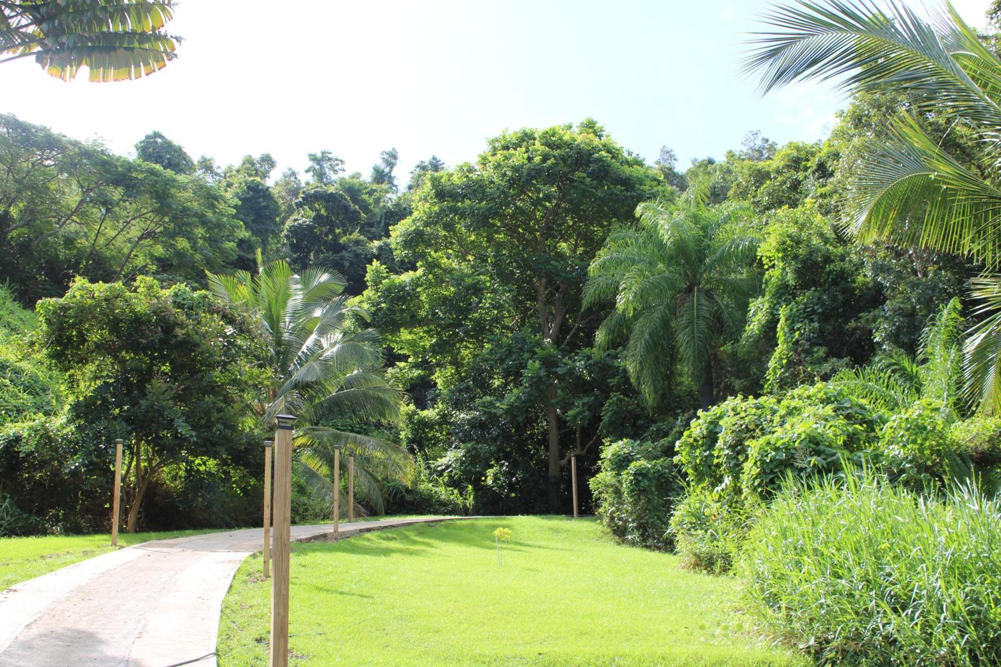 The Serene House Bed & Breakfast Luquillo Luaran gambar