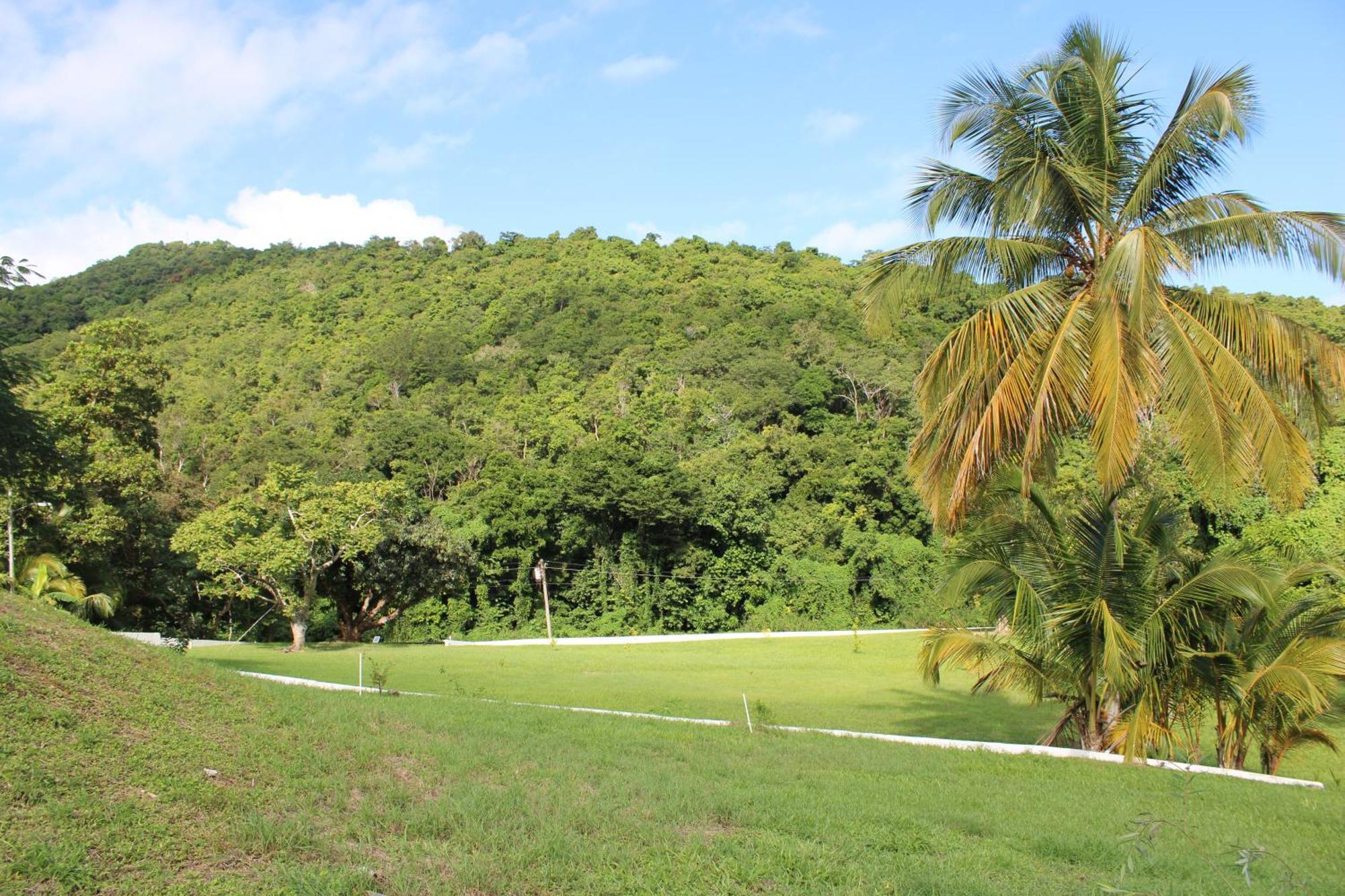 The Serene House Bed & Breakfast Luquillo Luaran gambar