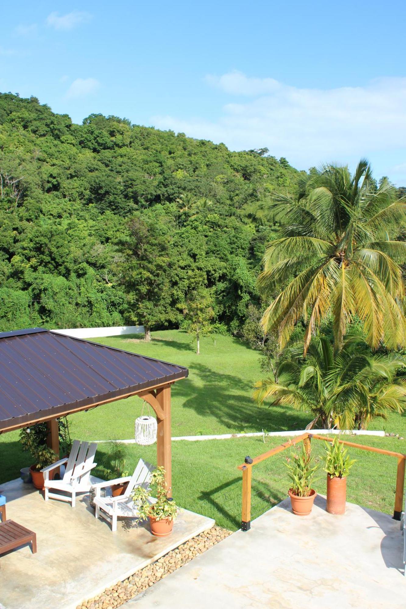 The Serene House Bed & Breakfast Luquillo Luaran gambar