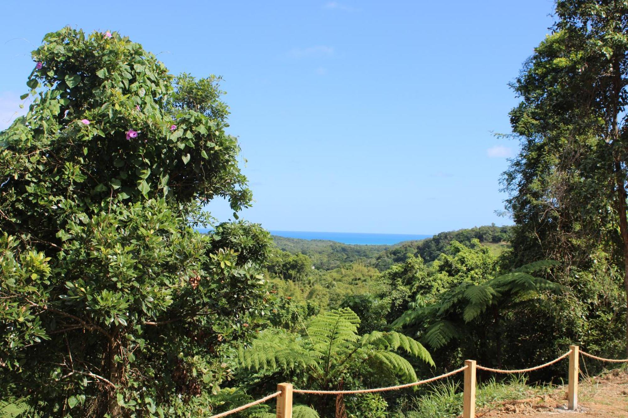 The Serene House Bed & Breakfast Luquillo Luaran gambar