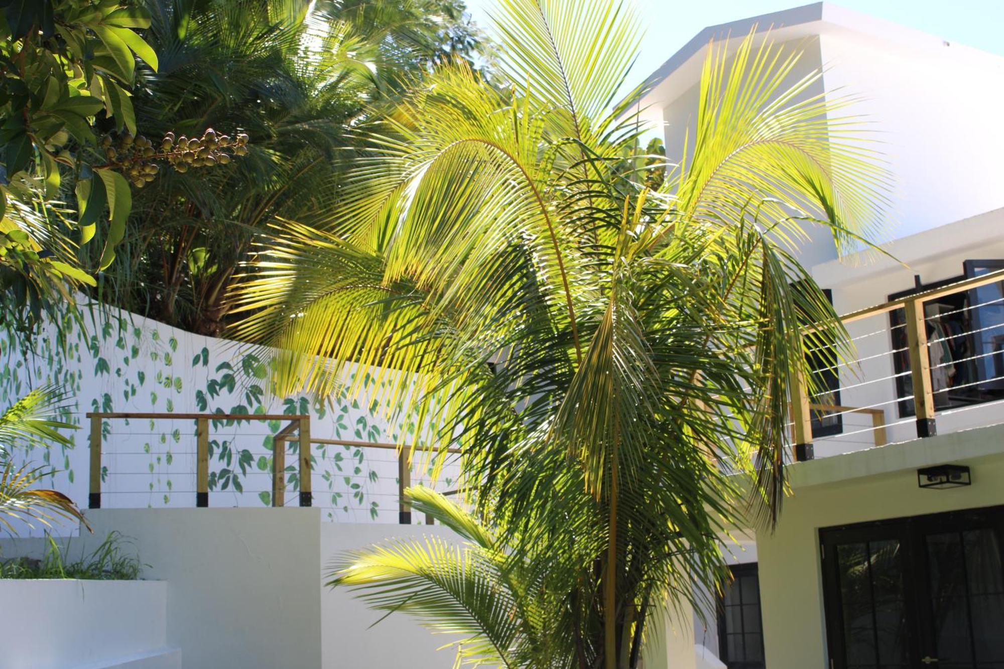 The Serene House Bed & Breakfast Luquillo Luaran gambar