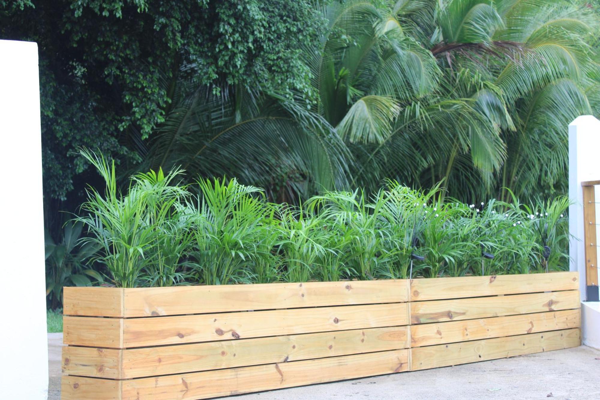The Serene House Bed & Breakfast Luquillo Luaran gambar